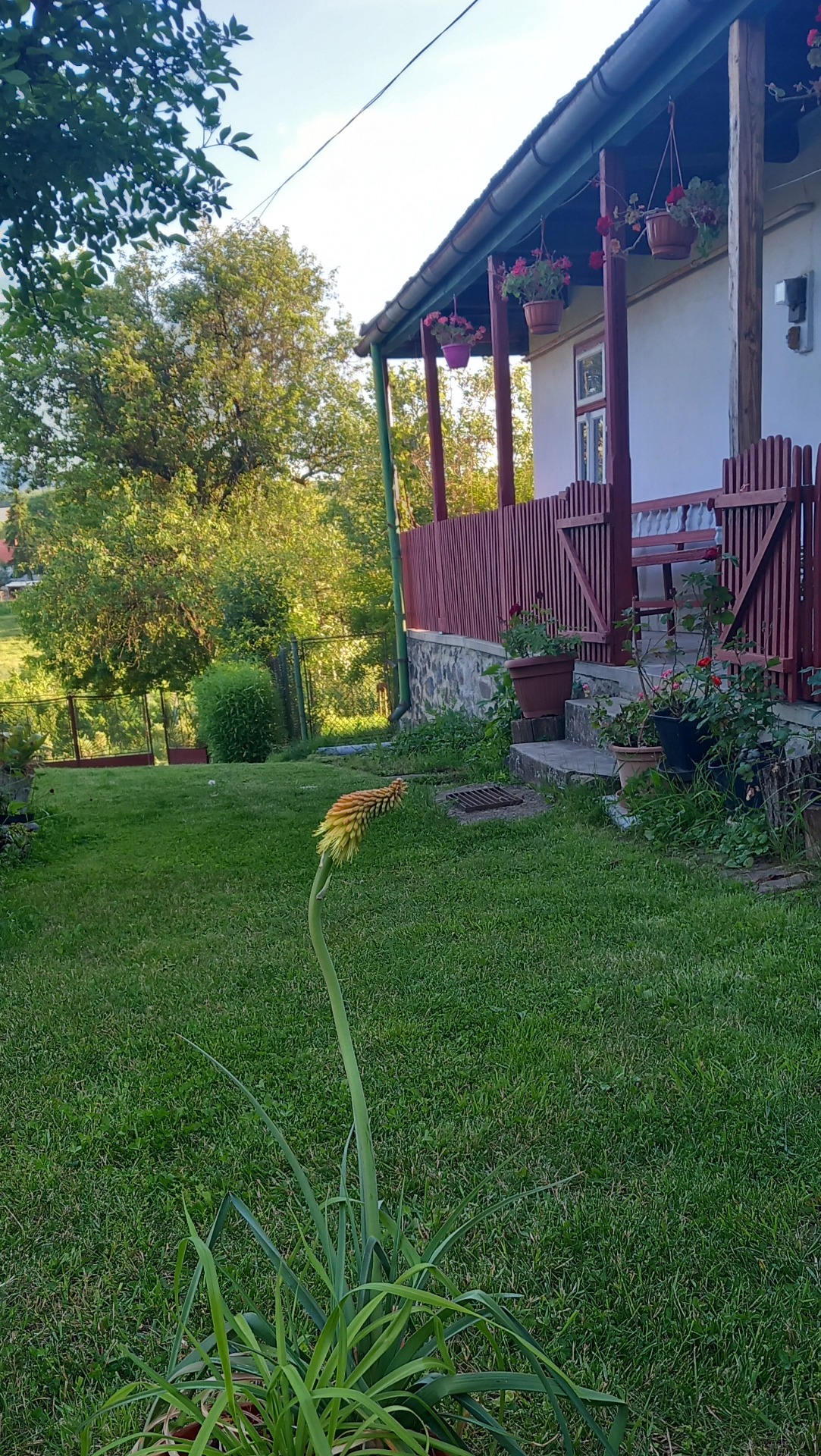 Szőlősor Vendégház -a gondozott virágokkal teli udvarunk