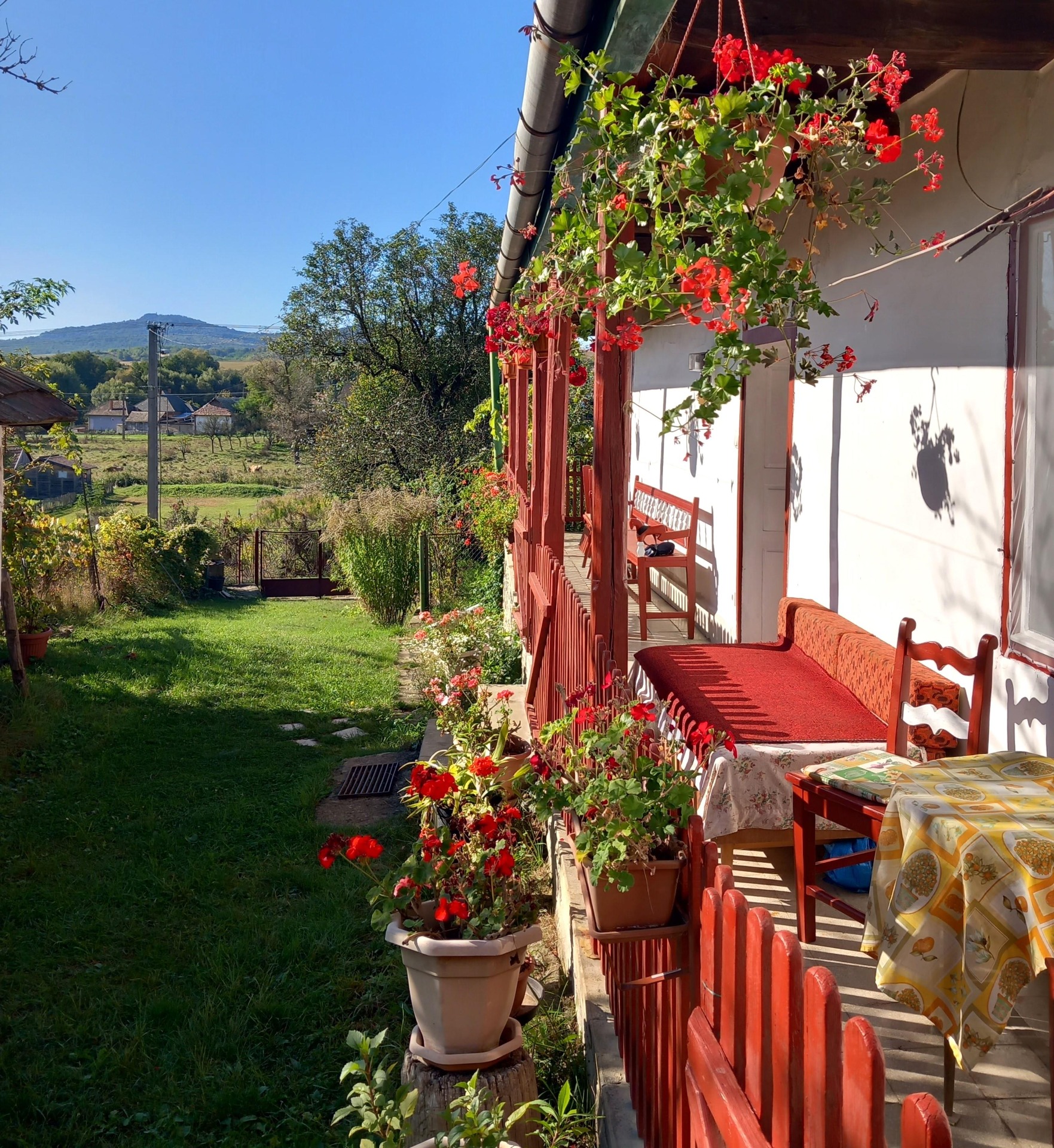 Szőlősor Vendégház- udvar és tornác